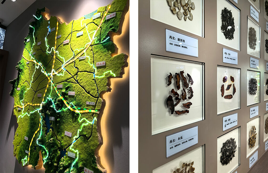 中醫院院史館標識